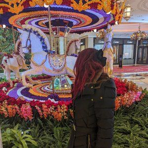 Meet your Posher, Lexi